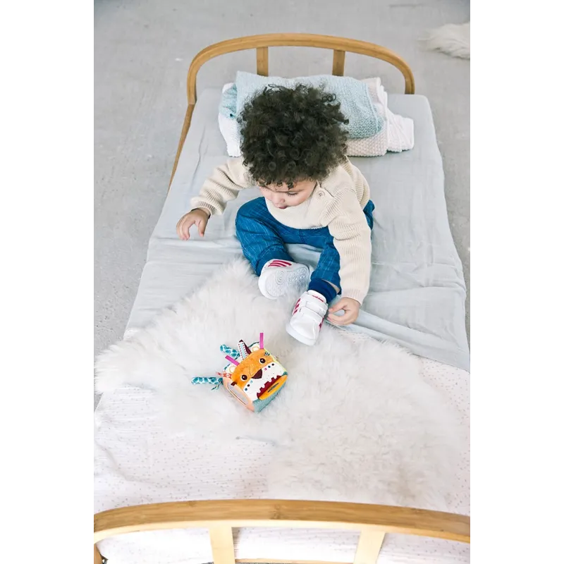 Cubo de actividades