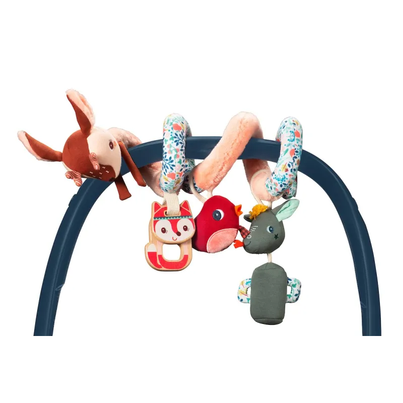 FOREST Activity Spiral