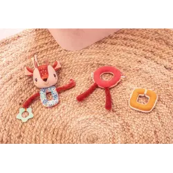 Sensory Activity Chain