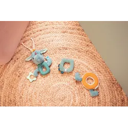 Sensory Activity Chain