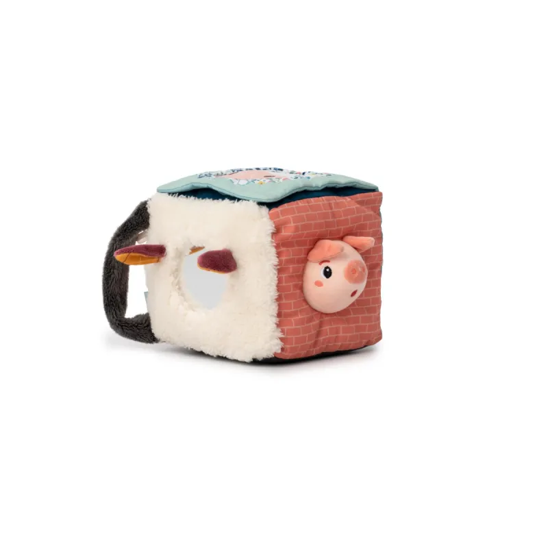 Dexterity cube Louis the wolf