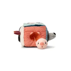 Cubo de destreza Louis