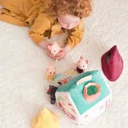 De huisjes van de wolf en de 3 biggetjes