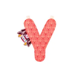Lettera Y