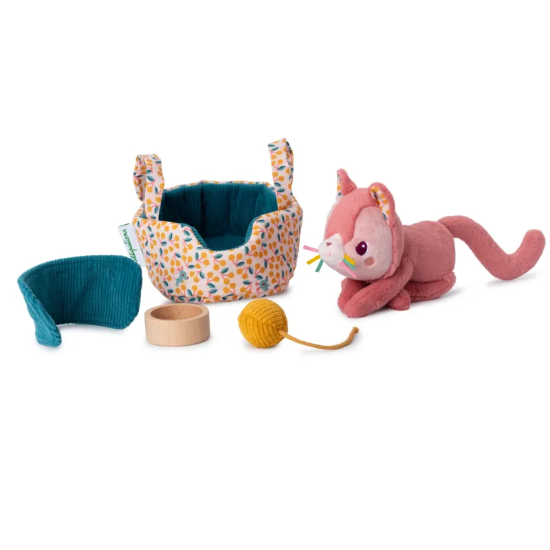 Jeanne kat en haar mandje