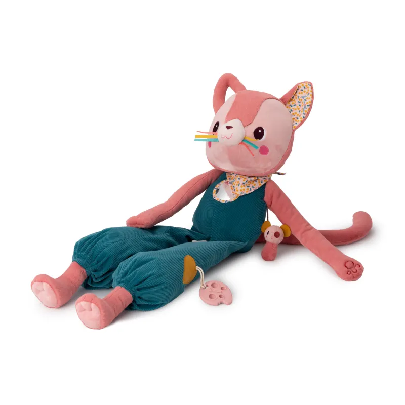 Jeanne big discovery cat