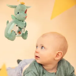 Coucou miroir Joe le dragon
