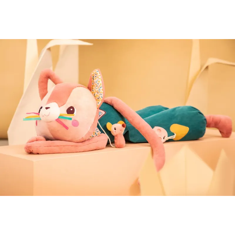 Jeanne big discovery cat