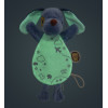 Fosforescerende knuffelpop Jules de hond