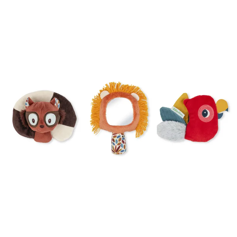 Set di Scoperta Sensoriale Jack il leone