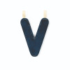 Glow-in-the-Dark Reversible Fabric Letter V