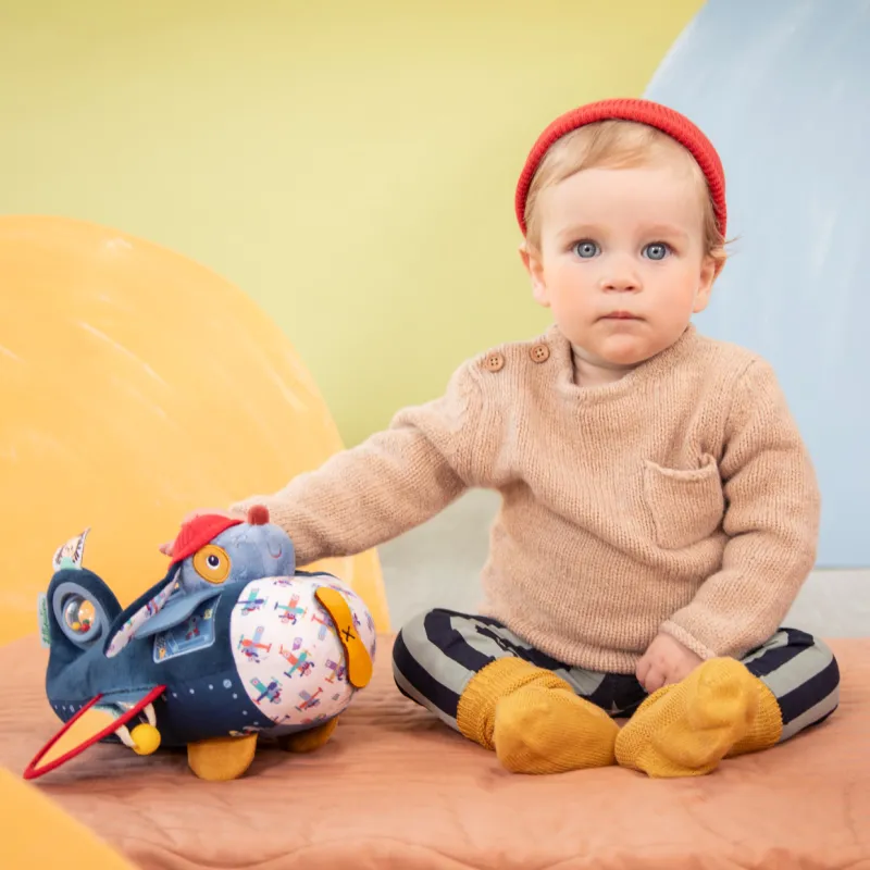 Jules der Hund Baby-Flugzeug-Aktivitätsspielzeug