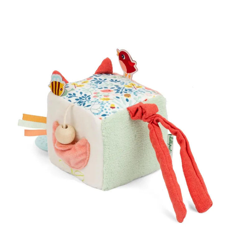 Cubo di attività Alice