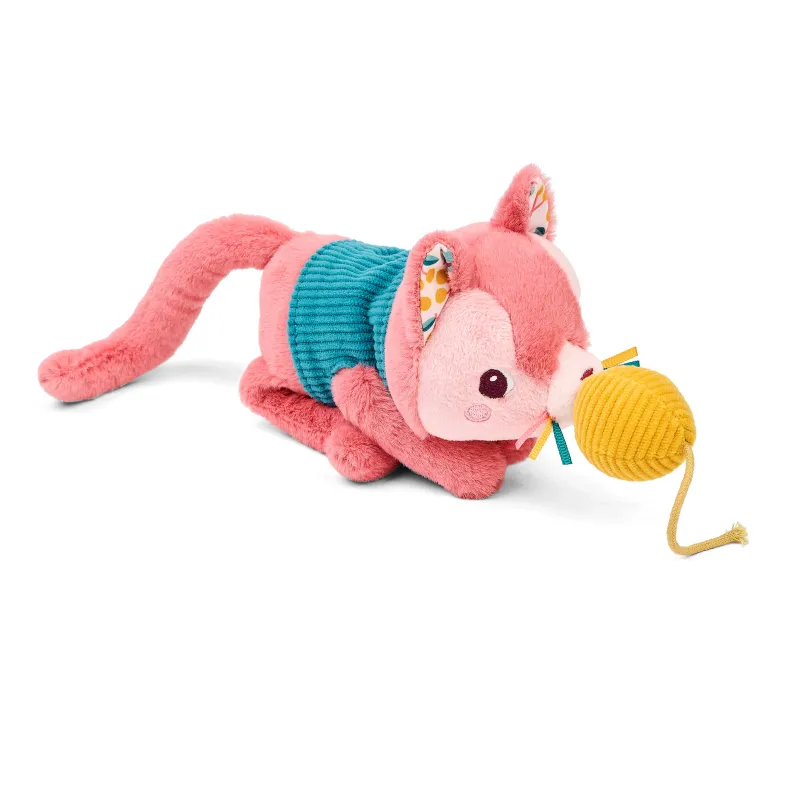 Jeanne el gato y su cesta