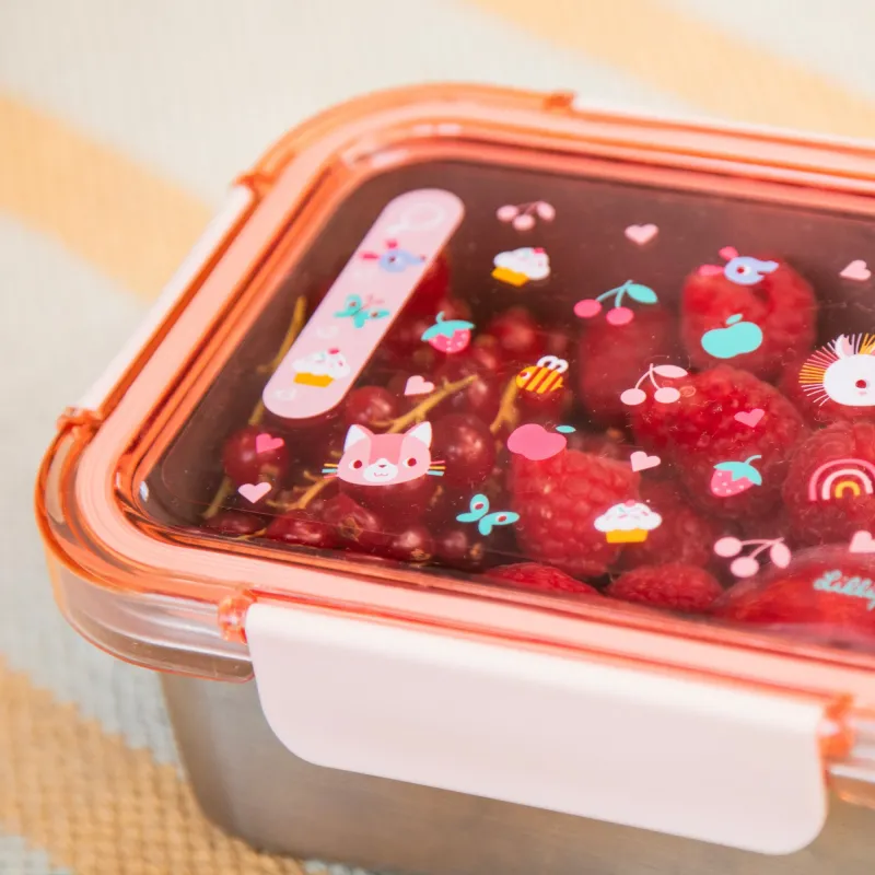 Lunchbox Such und Finde Jeanne die Katze