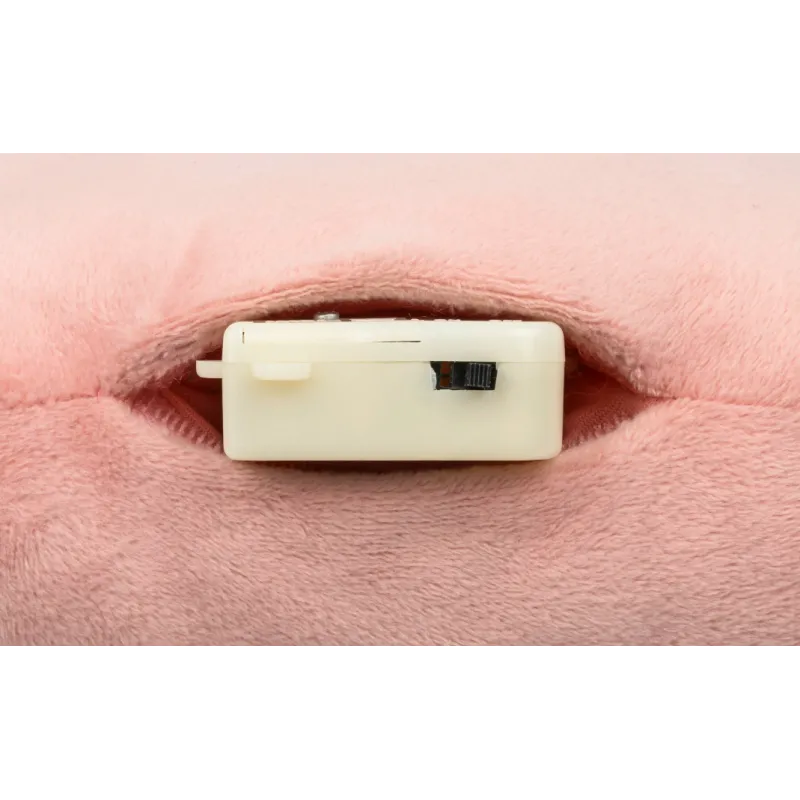 Geluidsradio Jeanne de kat