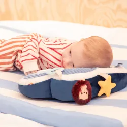 Aktivitätskissen Jules der Hund