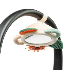 Specchio delle attività Jack il leone