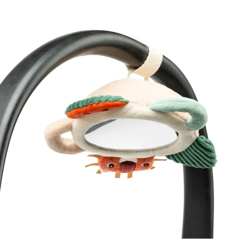 Ontdekkingsspiegel Jack de leeuw