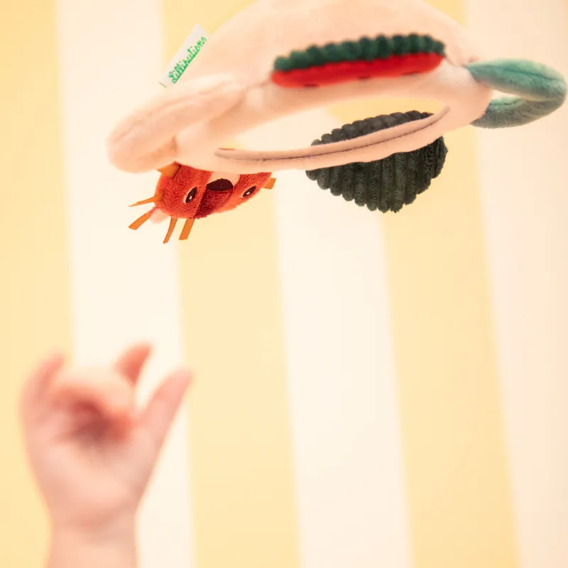 Ontdekkingsspiegel Jack de leeuw