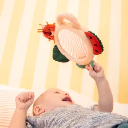 Specchio delle attività Jack il leone