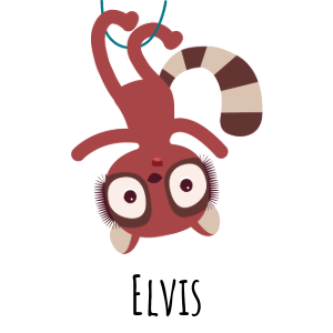 Elvis